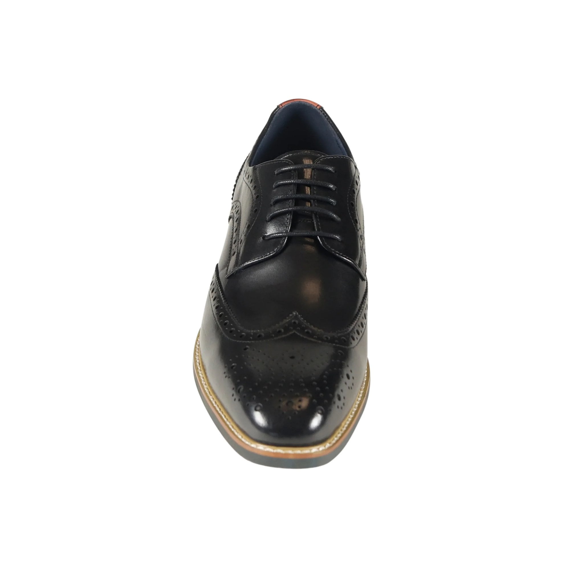 Azor Men's Classic Wingtip Shoe Black: LC VENEZIA