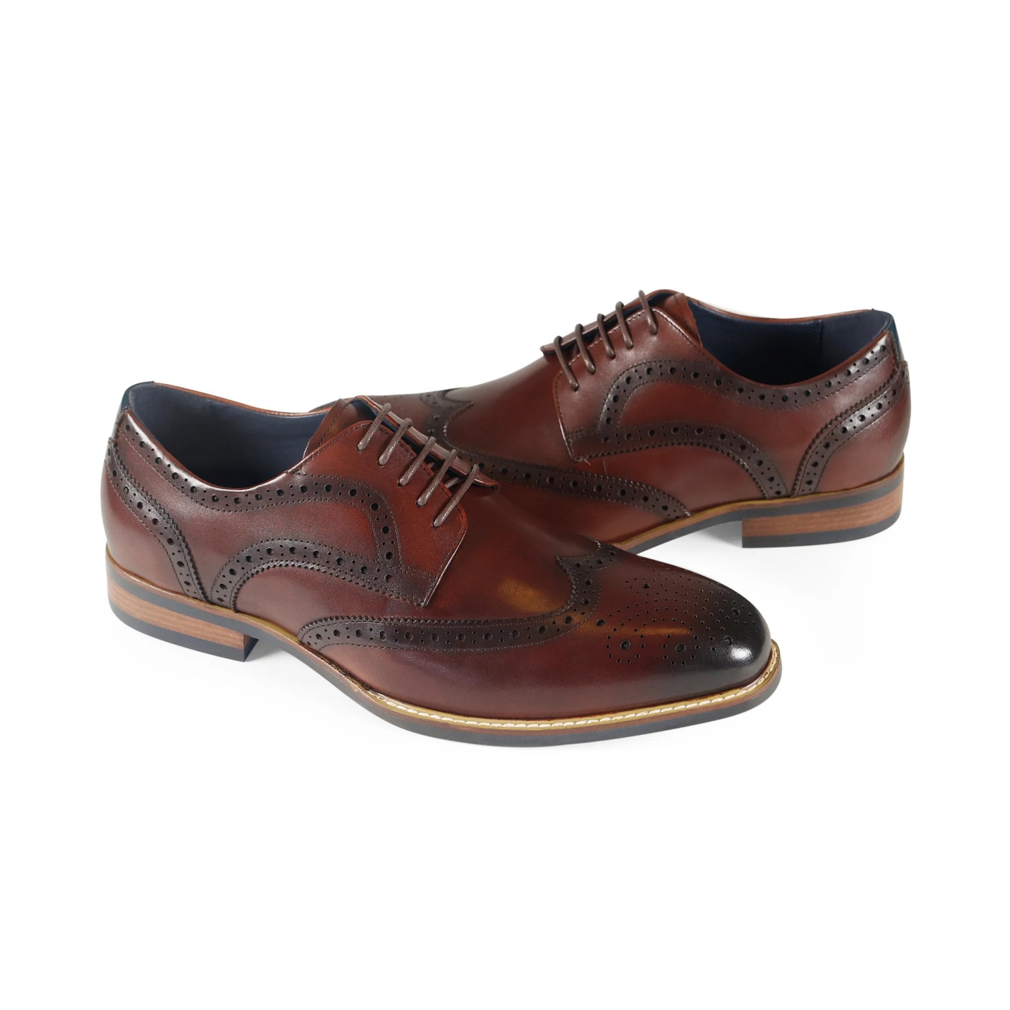 Azor Men's Classic Wingtip Shoe Brown: LC VENEZIA