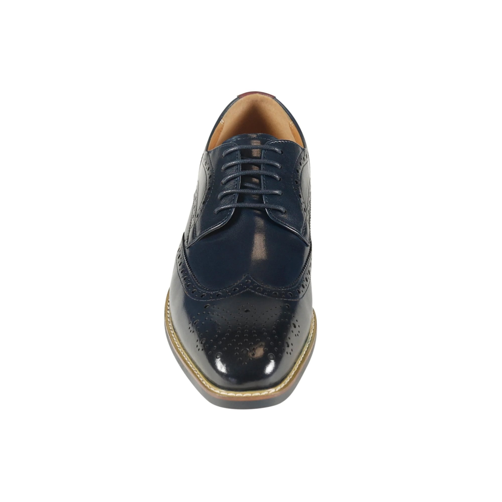 Azor Men's Classic Wingtip Shoe Navy: LC VENEZIA