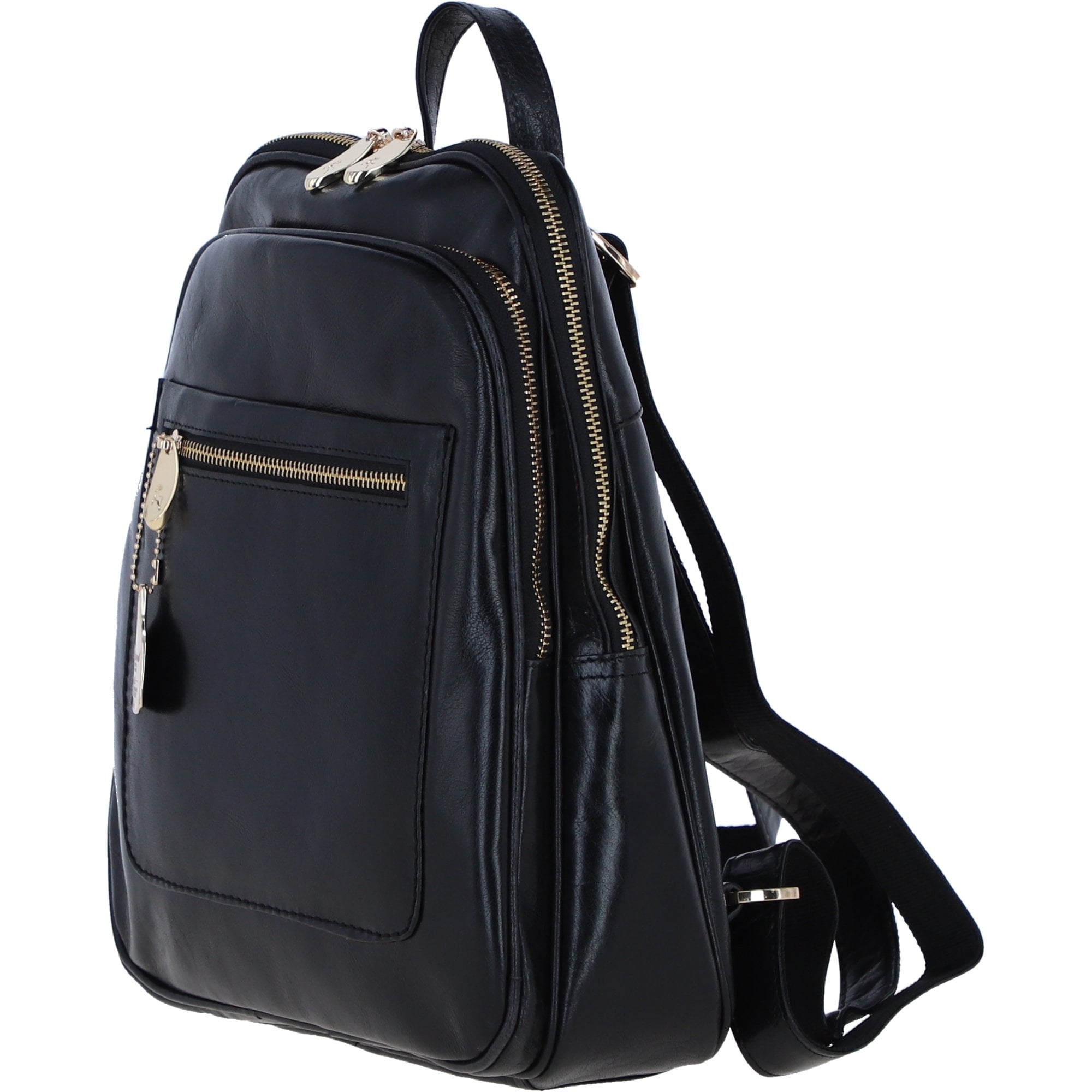 Ashwood Leather Backpack with Multiple Pockets and Golden Hardware in Black: C-74