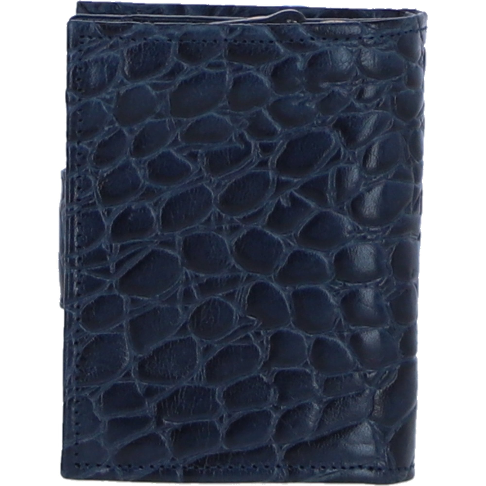 Ladies Ashwood Leather RFID Protected Purse in Navy: C-70