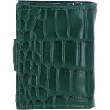 Ladies Ashwood Leather RFID Protected Purse in Green: C-70