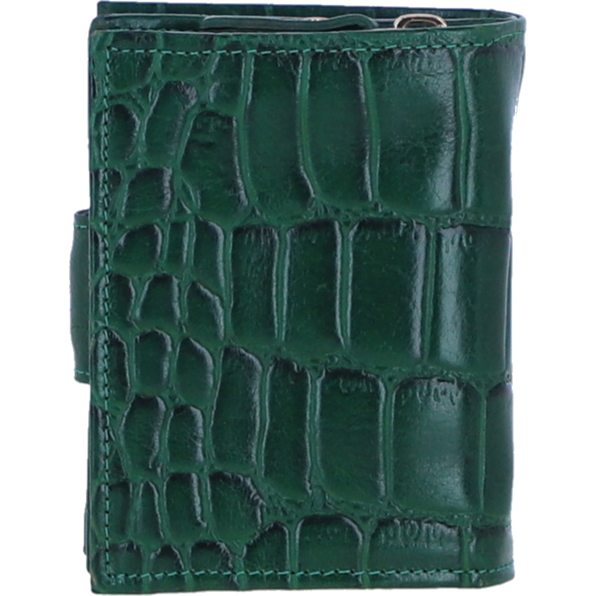 Ladies Ashwood Leather RFID Protected Purse in Green: C-70