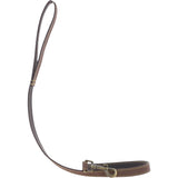 Ashwood Leather Exquisite Dog Lead in Sand: k9-L07