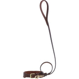 Ashwood Leather Padded Dog Collar with Solid Brass D-Ring Attachment in Brown – K9-C05