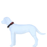 Ashwood Leather Handmade Floral Dog Collar in Multi: K9-C14