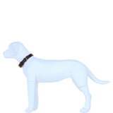 Genuine Leather Collar with Brass Hardware & Adjustable Buckle Fastening in Brown: K9-C12