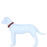 Genuine Leather Collar with Brass Hardware & Adjustable Buckle Fastening in Tan: K9-C12