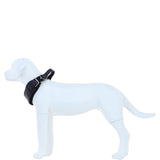 Ashwood Leather Padded Dog Collar with Agitation Handle & Stainless Steel Hardware in Black – K9-C03