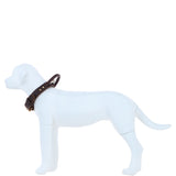 Ashwood Leather Dog Collar with Grab Handle / Agitation Handle & Solid Brass Hardware in Brown – K9-C01
