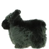 Ashwood LUCKY SHEEP Cypress