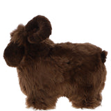 Ashwood LUCKY SHEEP Brown