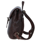 Ashwood Leather Backpacks Brandy: D-97
