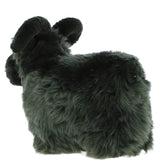 Ashwood LUCKY SHEEP Cypress
