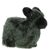 Ashwood LUCKY SHEEP Cypress