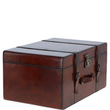 Handcrafted Leather Storage Trunk (L) Chestnut: tbz1uc774