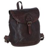 Ashwood Leather Backpacks Brandy: D-97