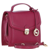 Compact Ashwood Handbag with Detachable Crossbody Strap Raspberry: Y-54