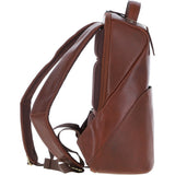k-47 chestnut_0010
