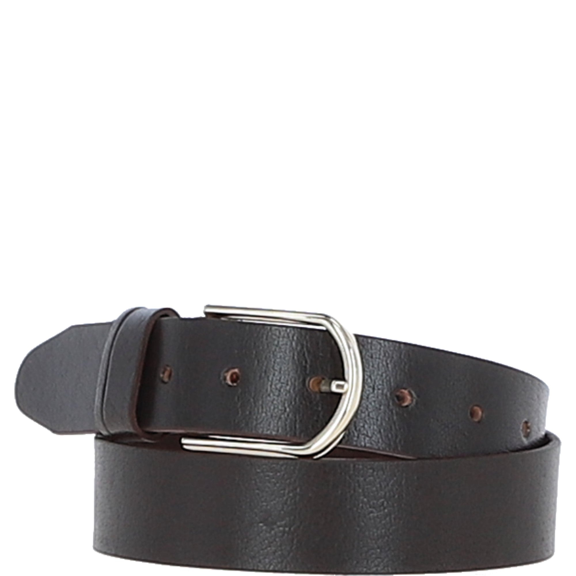 Women's Fashion Leather Belt with Gold Metal Pin Buckle Brown: LB-301