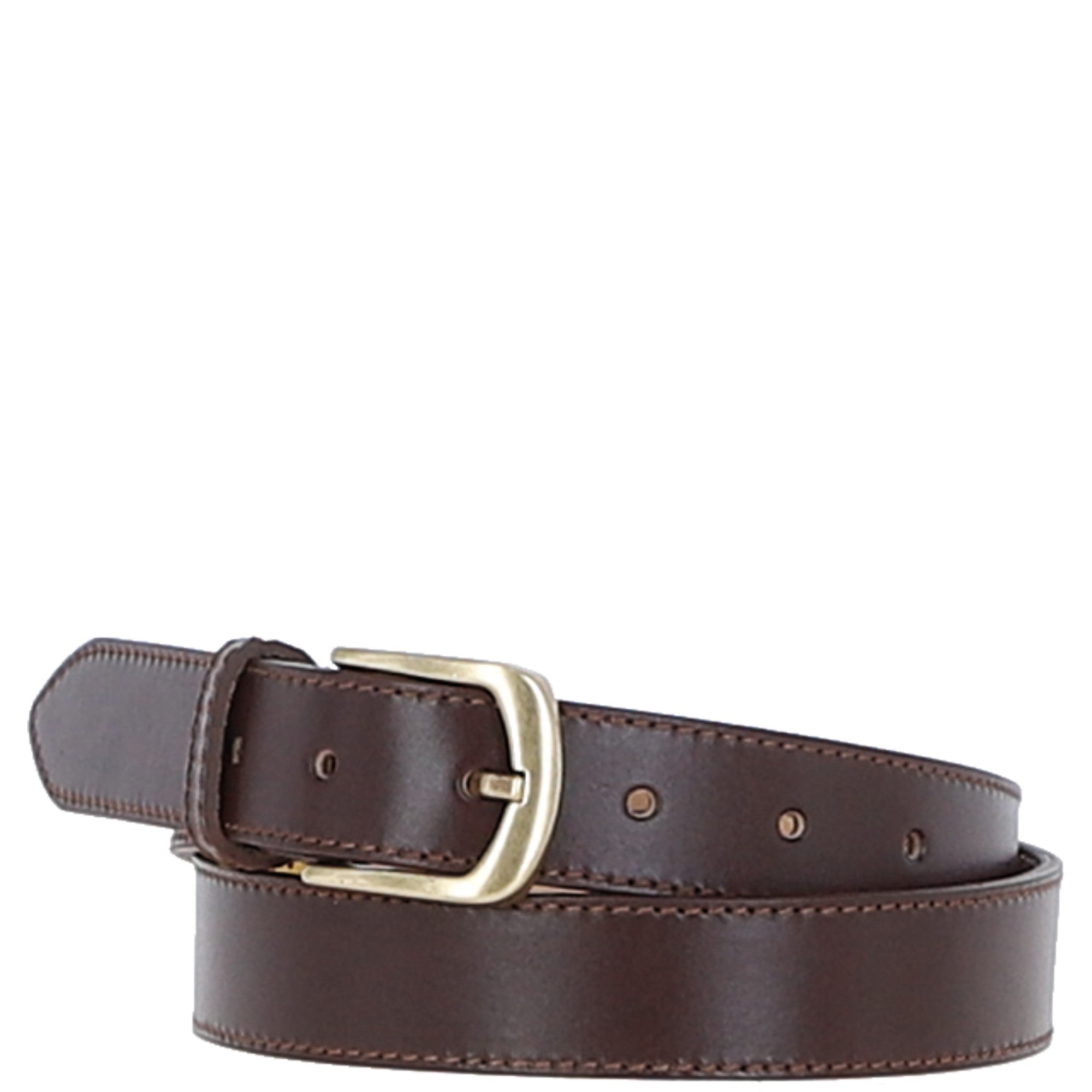 Women's Fashion Leather Belt with Gold Metal Pin Buckle Brown: LB-303