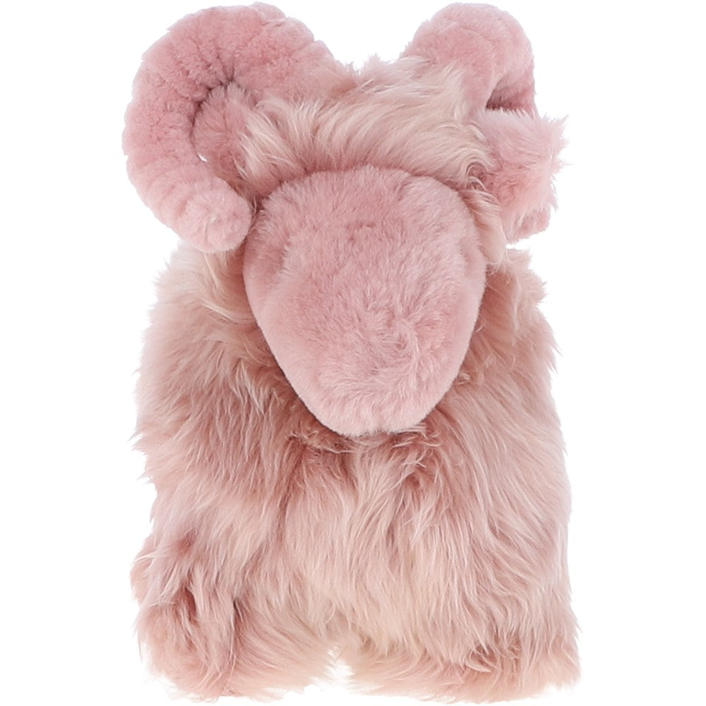 Ashwood LUCKY SHEEP Rosa