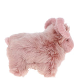 Ashwood LUCKY SHEEP Rosa