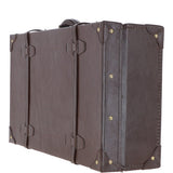Ashwood Vintage Leather Trunk Brown: VIN-22